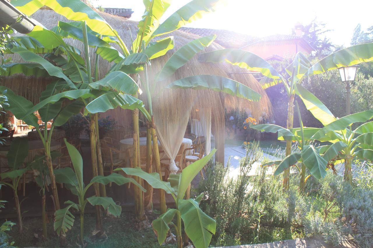 Antica Pietrara B&B Formello Dış mekan fotoğraf